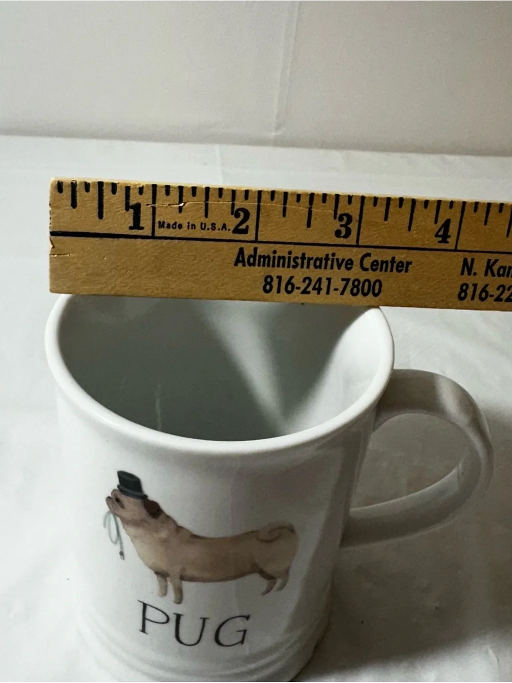 Fringe Studio White Pug Ceramic Dog Bowl Mug with‎ Top Hat Illustration